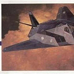 Hasegawa 00531 1/72 F 117 A Nighthawk-31