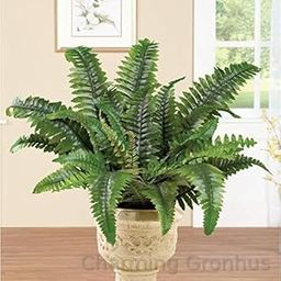 Charming Gronhus Live Boston Fern Air Purifier Live Plant With Black Plastic Pot-image-86