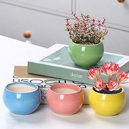 Ekhasa Nostrae Small Ceramic Pots for Plants Cum Miniature Showpiece (Set of 4) | Pots for Indoor Plants | Succulent Pot Planters | Mini Cute Ceramic Flower Pot (Plant Not Included, Small Size)-image-91