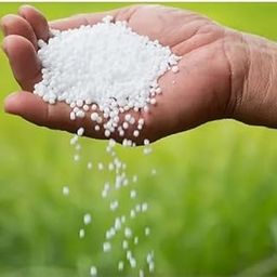 SID Neem Coated Urea Fertilizer, 1 kg, Water Soluble Granules for Vegetables, Flowers and Fruits-image-33