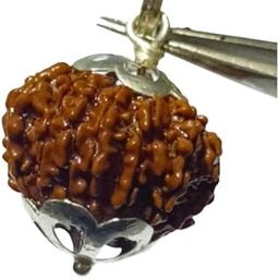 SreeGems 12 Mukhi Rudraksha Original Certified 12 Face Rudraksha With Capping Barah Mukhi Rudraksha 12 Mukhi Rudraksha Nepali Blessed By Lord Adityas Twelve Mukhi Rudraksha Natural 12 Mukhi Rudraksha Pendant-image-23