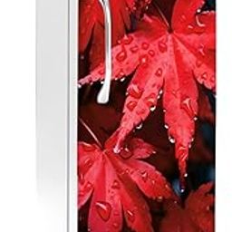 RK Digital Mart Red Leaf Fridge Sticker | Single Door Fridge Sticker | Refrigerators Sticker with Self-Adhesive Stickers Easy to Apply (Size 120 x 61cm)-image-29