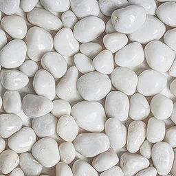 Polished White Pebbles/Pebble/Natural Decorative River Water Rocks/Stones for Garden, Gardening, Landscaping, Home Decoration, Vase Fillers, Rock Art, & Potted Plants (2 Kgs)-image-93