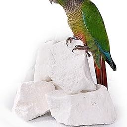 Bird Mineral Block/Natural Calcium Mineral Block for All Birds 250gm / TAIYO PLUSS DISCOVERY-53