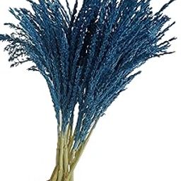 RUKDA® Dried Flower Sheaves || Decoration Dried Flower Sheaves || Stalks Dried Flower Dry Grass Bouquet (Blue 5pcs, Maize Flower)-image-81