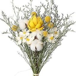 ARTISOUL® Natural Dried Flower Floral Crafts for Home Wedding Party Daisy | Home Decor | Floral Decor-image-32