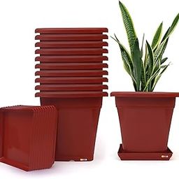 Livzing Square Plastic Flower Pot with Bottom Tray Set - 9 Inch, Pack of 10 (Brown), Garden Planters with Drain Holes for Home Plants,Plastic Pots for Indoor and Outdoor Gardening with Drip Tray-picture-3