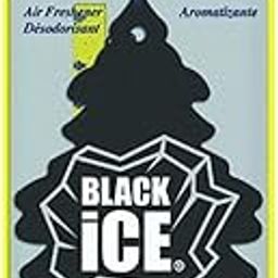 LITTLE TREES Car Air Freshener I Hanging Tree Provides Long Lasting Scent for Home & Office | Automatic Air Freshener | Black Ice-19