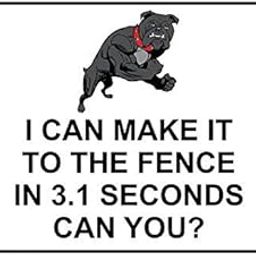 Weatherproof Plastic I Can Make It to The Fence in 3.1 Seconds Can You? Sign with English Text and Symbol-image-28
