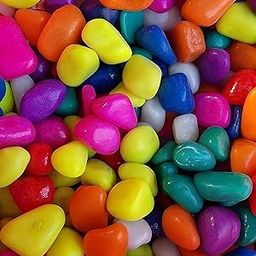 STONE HUB Multicolor Pebble Stones for Decoration, Plants Pots, Fish Tank Aquarium, Table, Vase Fillers, Home Decor 1 Kg (1 Kg)-image-5