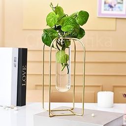 CraftVatika Glass Test Tube Vase with Metal Frame | Propagation Station Test Tube Flower Vase for Home Decor | Flower Vase with Stand for Home Decoration Items Living Room Corner Table-image-15