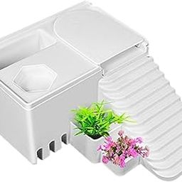 bnf® Resting Platform Resting Terrace for Turtles | Reptile Supplies-image-11