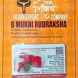 Robin Exports 8 Mukhi Rudraksha Eight Faced Rudraksh Bead Original & Certified for Men and Women-picture-46