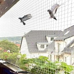 Myera Pigeon Nets for Balconies/Anti Bird Control Net, UV Stabilized HDPE Heavy Duty HDPE Nylon Mesh Net for Balcony 10 FT X 10 FT SQ FEET (100 SQ FEET) White/Anti Bird Net (10 * 10) White/Garden Net-image-19
