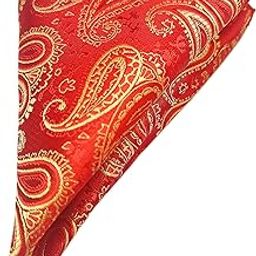 France Men's Paisley Self-Design Bow Ascot Cravat Necktie and Pocket Square Pure Satin Microfiber Free Size-picture-27