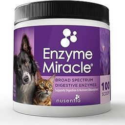 Enzyme Miracle | Canine Enzymes (Advanced Plant-Based Powder) - 100 Servings-image-17