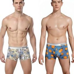 Men's Printed Micro Modal Briefs Comfortable Fit/Breathable/Moisture-Wicking Underwear Multicolour-image-32