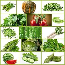 Only For Organic Summer Hybrid Vegetable Seeds With Instruction Manual (Pack of 15 Variety)-image-68