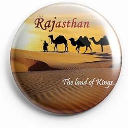 AVI 58mm Regular Size Metal Fridge Magnet Brown Rajasthan The Land of Kings MR8002028-image-102