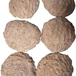 Pure desi Cow Dung and Dried Naturally for Long-Lasting Burning. Ideal for hawan, Pooja, Rituals, agnihotra, Organic Fertilizer, and eco-Friendly Fuel-image-71