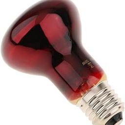 Reptile Tortoise Amphibian Nightlight Infrared Light E27 Base Heat Lamp 50W|Pet Supplies | Reptile Supplies| Reptile Supplies|1 Piece Reptile Heating Lamp-21