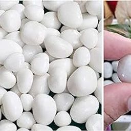 White Rocks, Highly Polished Decorative Pebbles for Plants, Garden, Landscaping, Vase, 0.5/1 Inch, Model - SM 107 (SM 107 1 kg)-image-89