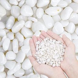 Leafy Tales White Polished Marble Stone Pebbles for Home & Garden Decoration| White Polish 1 Kg-image-8