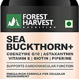 Forest Harvest Sea Buckthorn 10X Extract with CoQ10 100mg, Astaxanthin, Grape Seed, Vitamin E, C, Biotin & Piperine | 90 Capsules | 45 Servings | Supports Daily Inner Vitality | WHO-GMP, ISO, HACCP Certified-image-12