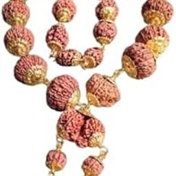 Indrani Mala With Trijuti Gold Capping Blessings Of All Deity 1 To 21 Mukhi Nepali Rudraksha Premium Indrani Mala Original Certified इन्द्राणी माला के साथ गौरी शंकर गणेश रुद्राक्ष-52