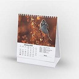 Visual Creation Desk Calendar 2025 - Bird Series calendar for Office Home Table Couple - Birds-image-71