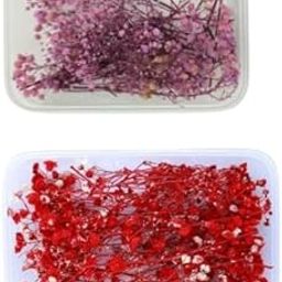 2 Box Natural Dried Baby Breath Flowers | Real Pressed Flowers for Resin Art, DIY Crafts, Nail Art, Candle & Soap Making Jewellery, Pendant (Babysbreath) Combo of 2 (Purple & Red)-image-61