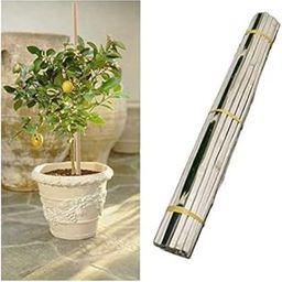 RARE OCEANS Bamboo Sticks for Live Plant Support (PACK OF 10) Height 3 Feet (90CM) Long/Climbers Support for Live Plant 36 inches / 90 cm-image-2