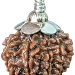 SreeGems 8 Mukhi Rudraksha Original Certified Nepali 8 Face Rudraksha Original With Silver Capping Aath Mukhi Rudraksh Blessed By Lord Ganesh 8 Mukhi Rudraksha Pendant 8 मुखी रुद्राक्ष 8 Mukhi Rudraksha Nepal-picture-44