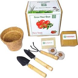 Profound Grow Your Own Cherry Tomatoes with Our Eco-Friendly Pot and Gardening Kit Best Return Gift For Birthday Anniversary-image-28