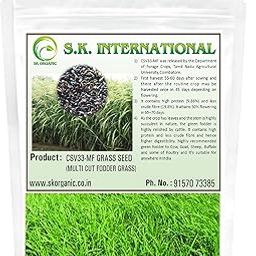 SK ORGANIC CSV33MF Multicut Grass Seeds for cow buffalo goat cattle forder 3 years variety (250gm)-image-35