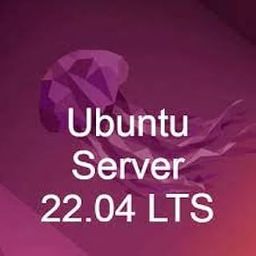 Ubuntu 22.04 Server Live Bootable Installation 16GB USB Pen Drive-picture-22