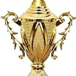 Be Win Winner Golden & Fiber Batsman On Cup Trophy for Man of Match, Man of The Series, Cricket Events & Function.-picture-4