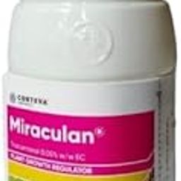 Dow Miraculan Liquid Plant Growth Regulator(Pgr) 100 Ml, Nature Argo-image-34