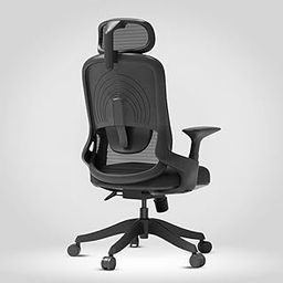 Human Method SPYNOX Premium High Back Ergonomic Revolving Executive Office Chair |2D Adjustable Headrest and Breathable Nylon Mesh Back | Lumber Support | Super-Strong Nylon Base (Black)-image-21