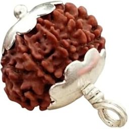 8 Mukhi Aath Mukhi Rudraksha Nepali 8 Face Rudraksha Original Certified 8 मुखी रुद्राक्ष ओरिजिनल नेपाल Round Eight Face Rudraksh For Pendent आठ मुखी नेपाळी रुद्राक्ष-42