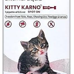 Kitty Karno's Flea and Tick Control: Powerful Cat Flea Killer - Effective Flea Medicine for Cats and Kittens (8 Weeks Onwards), Effective Cat Spot On for Flea & Tick Prevention | Pack of 1 (0.5 ml)-16