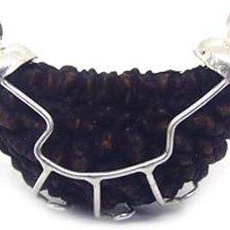 FOREVER Gems AAA+++ Quality 1 Faced Rudraksha Natural 1 Mukhi Rudraksha Nepali with Blessings of Lord Shiva-picture-13