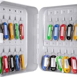 PARATPAR MALL Security Metal Key Box with 20 Tags, Wall Mount Key Lock Cabinet Ideal for Property Managers, Combination Entry Key Locker Homes, Hotels Business Car Dealer and Repair Shops- (Metal)-15