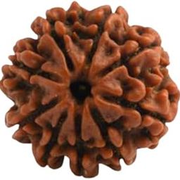 SRT Rudra 9 Mukhi Rudraksha Original Certified Nau Mukhi Rudraksha Nepal with Silver Capping Nine Mukhi Rudraksah With Certificate 9 मुखी रुद्राक्ष 9 Mukhi Rudraksha Nepal Blessed by Goddess Durga 9 Face Rudraksha 18mm 9 Mukhi Rudraksha Pendant-1