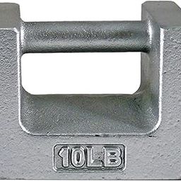 Rice Lake Cast Iron ASTM Class 7 Painted Grip Handle Test Weight, 10lbs Mass-30