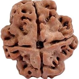 चार मुखी रुद्राक्ष ओरिजनल A1 4 Mukhi Rudraksha Original Certified with Silver Pendant Nepali 4 Mukhi Rudraksha Brown Bead Auspicious 4 Face Rudraksha Small Sead for Men & Women by IRIS GEMS-13