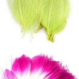 VELURA 100pcs Natural Leaves Card Scrapbook Wedding Card Scrapbooking DIY|1 x Test Papers(Pack of 80 Strips)|Dried Flowers| Home Arts & Crafts-image-27