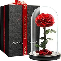 LOVAPPY Forever Preserved Rose - Eternal Rose in Glass Dome - Beauty and The Beast Rose for Mom - Fresh Flowers in Glass (Red, 9 Inch)-image-50