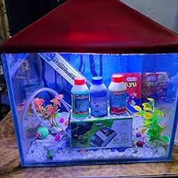 PRIYU 15 Litre Aquarium Glass Tank Aquarium Set (9X9X12 inches)-image-54