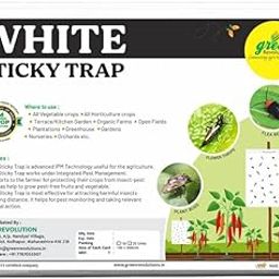 White Sticky Trap for Insect at Farm & Gardens to Control Black Thrips, Flower Thrips and Harmful Insects Pack of 4 (100 Pcs).-picture-31